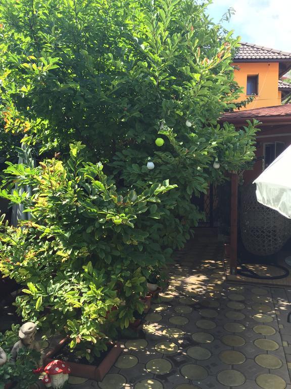 Casa Belazur Hotel Deva Bagian luar foto